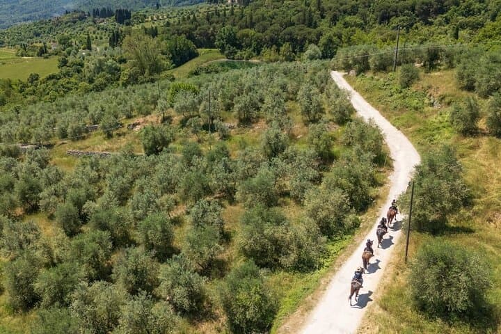 Cavalcata nei Vigneti — foto 5