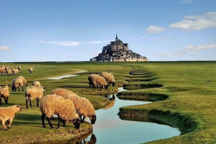 Excursión Privada de un Día a Mont-Saint-Michel y Ruan desde París