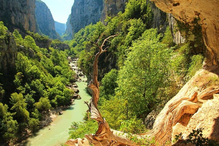 Tour Privado por los Campos de Lavanda y el Garganta del Verdon desde Niza — foto 5