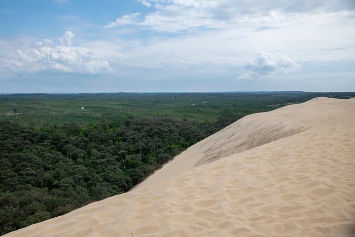 Tagesausflug zur Bucht von Arcachon und zur Dune du Pilat von Bordeaux — Foto 4