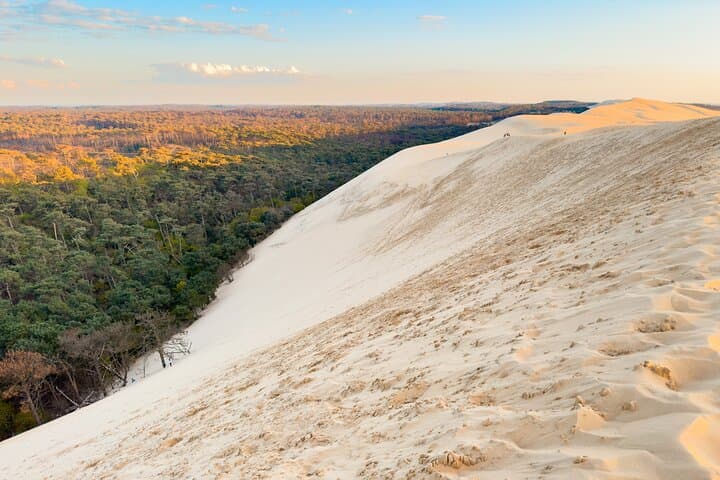 Tagesausflug zur Bucht von Arcachon und zur Dune du Pilat von Bordeaux — Foto 3