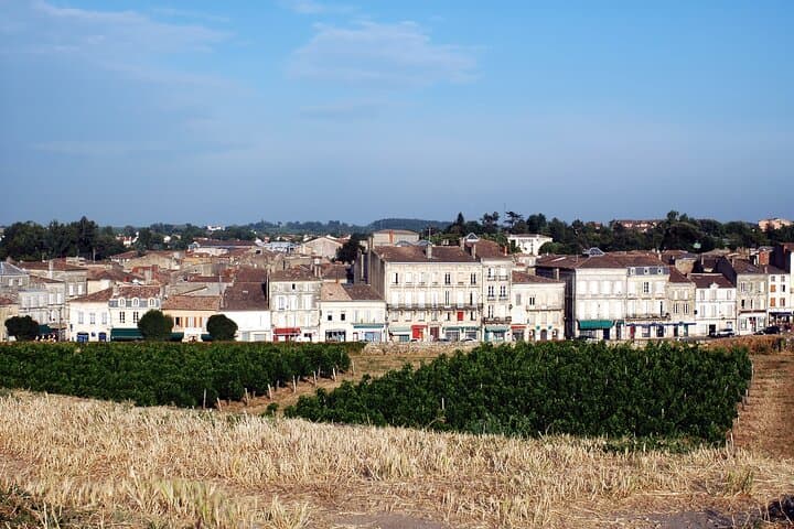 Halbtägige private Tour von Bordeaux zur Zitadelle von Blaye