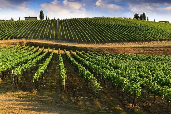 Fuga di mezza giornata nel Chianti: Assapora il cuore della Toscana — foto 5