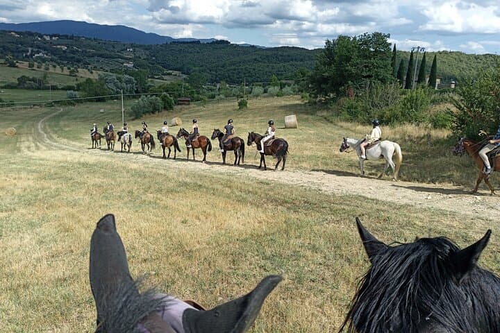 Cavalcata nei Vigneti — foto 4