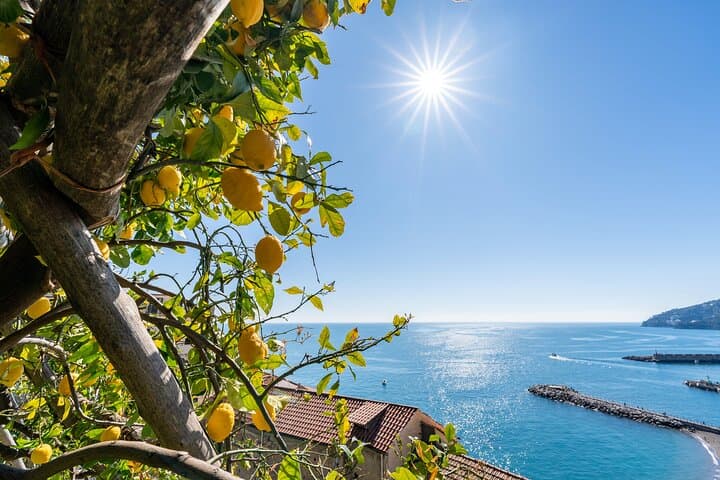 Limones y Vistas: Tour del Jardín Monumental de Amalfi — foto 4