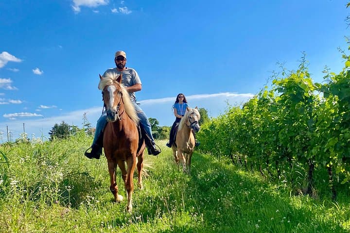 Excursion à cheval au lac de Garde — photo 3