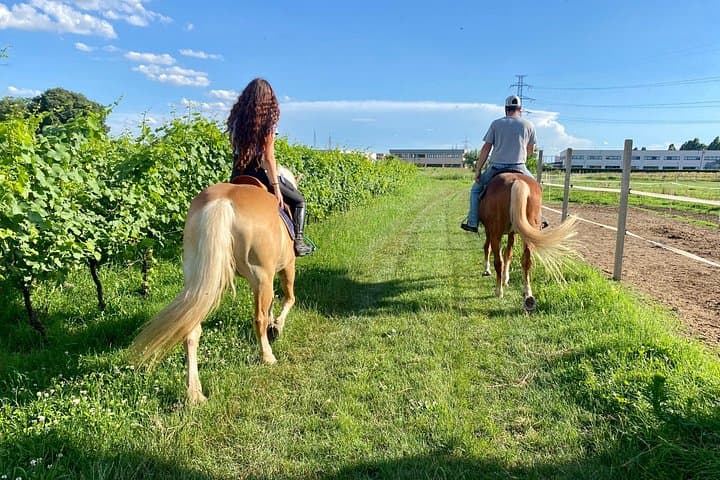 Excursion à cheval au lac de Garde — photo 4