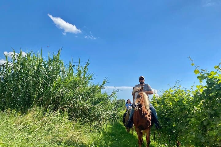 Excursion à cheval au lac de Garde — photo 2