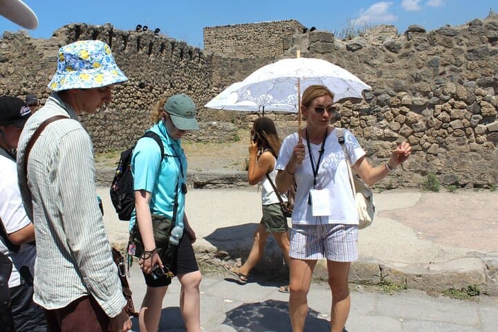 Tour di un giorno a Pompei e Monte Vesuvio da Napoli