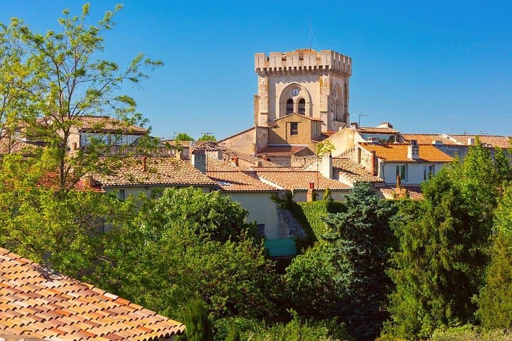 Private 2-stündiger Einführungsspaziergang in Avignon — Foto 5