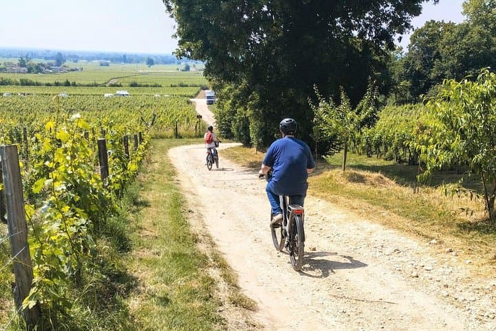 Tour in e-bike: Da Bordeaux a Saint-Emilion con pranzo al sacco