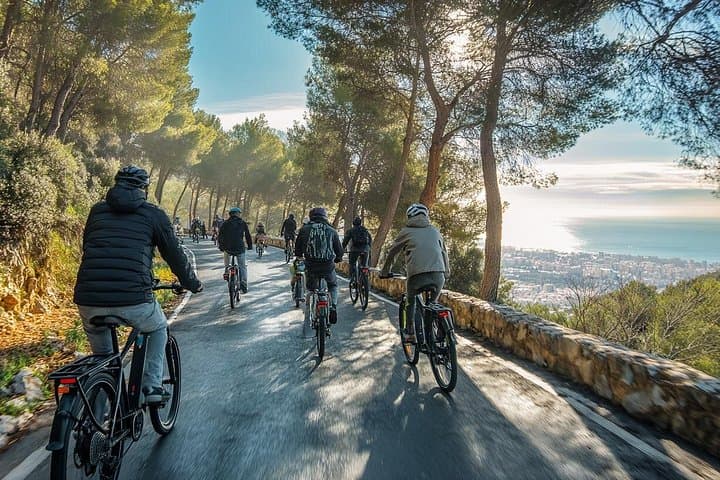 Tour in E-Bike di 2 Ore a Malaga con il Bosco di Gibralfaro