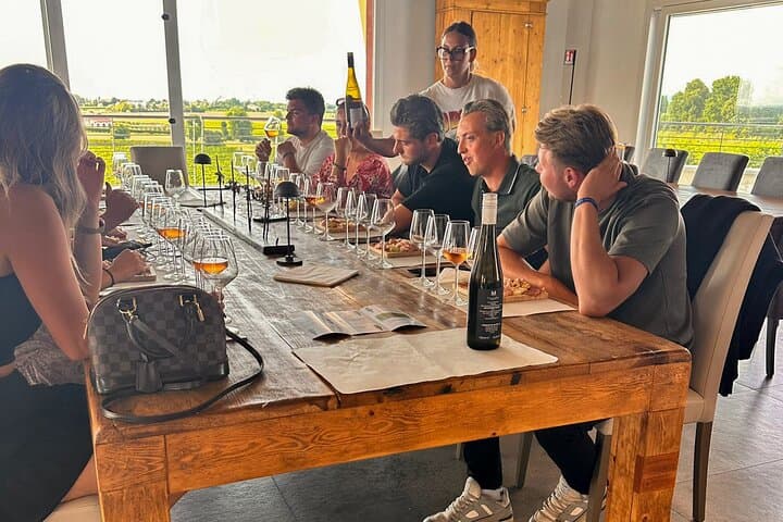 Dégustation de vins et visite de vignoble à Lazise — photo 4