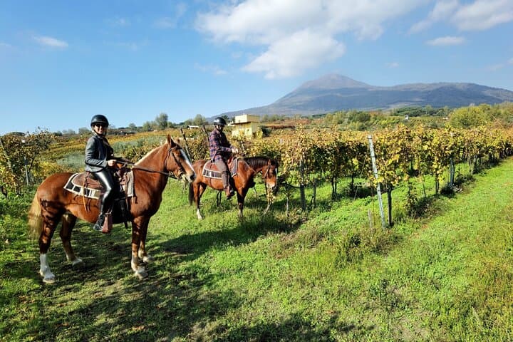 Tour Guidato di Pompei e Passeggiata a Cavallo sul Vesuvio con Pranzo