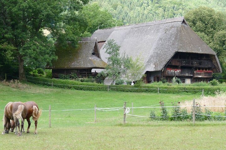 Excursion d'une journée en Forêt-Noire depuis Strasbourg
