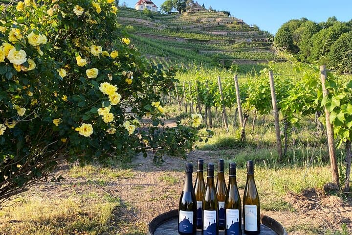 Cata de Vinos en una Bodega Tradicional — foto 1