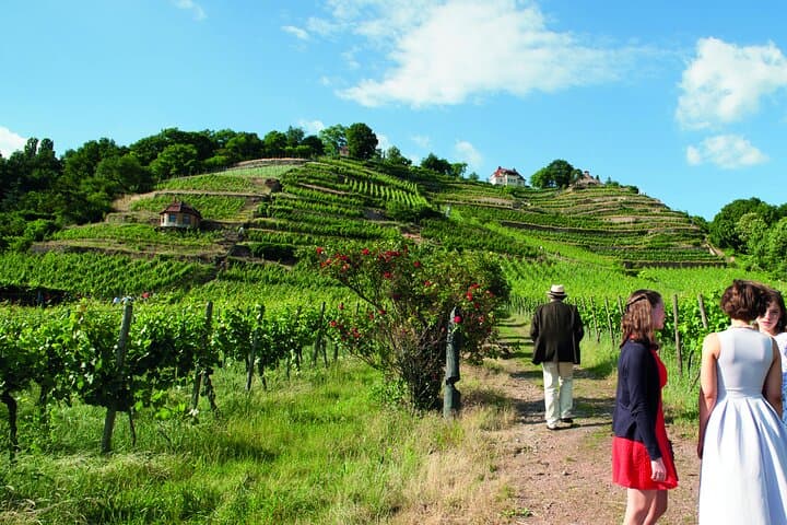 Cata de Vinos en una Bodega Tradicional — foto 4