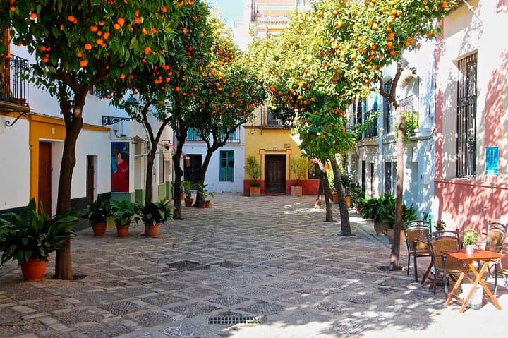 Tour Privado de Sevilla desde Granada — foto 4