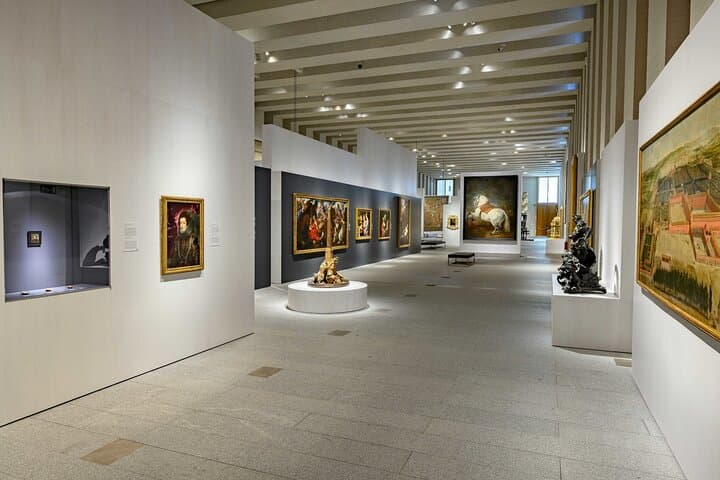 Madrid: Tour Guidato della Galleria delle Collezioni Reali