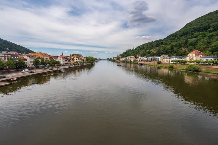 Tour privato di un'intera giornata a Heidelberg da Francoforte — foto 3