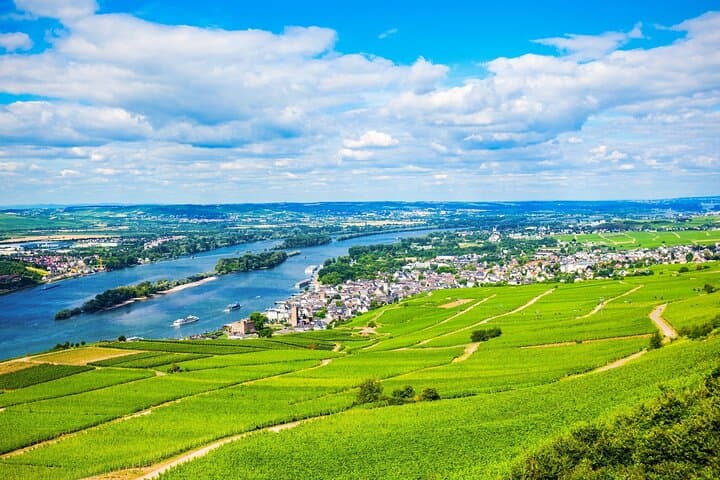 Privater Tagesausflug von Frankfurt ins Rheintal — Foto 3