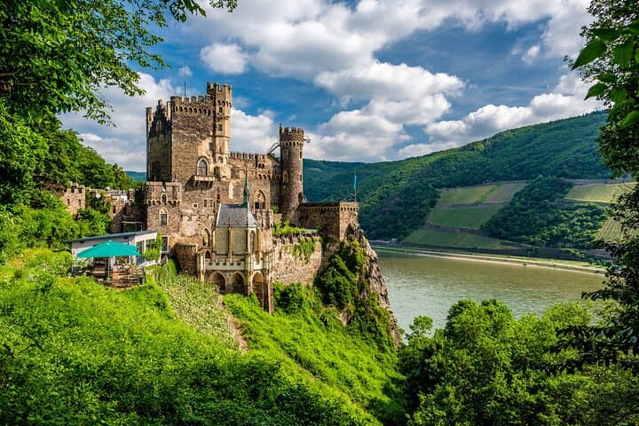 Privater Tagesausflug von Frankfurt ins Rheintal