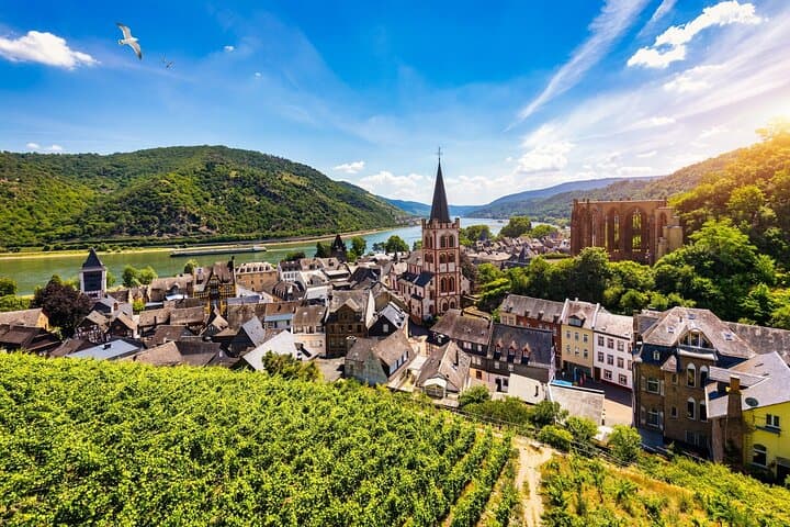 Privater Tagesausflug von Frankfurt ins Rheintal — Foto 5