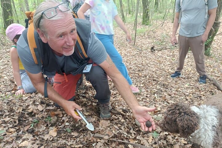 Chasse aux truffes avec déjeuner et dégustation de Chianti depuis Pise