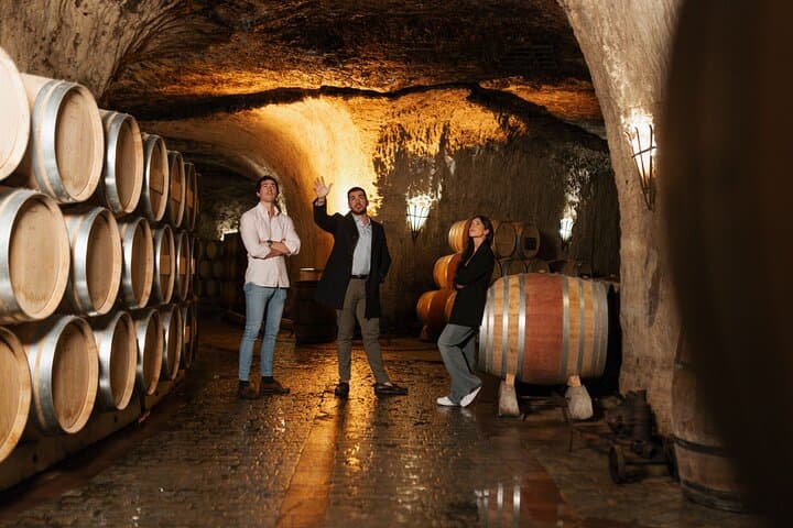 Degustazione di Vini Rioja e Pranzo Gourmet da Bilbao — foto 4