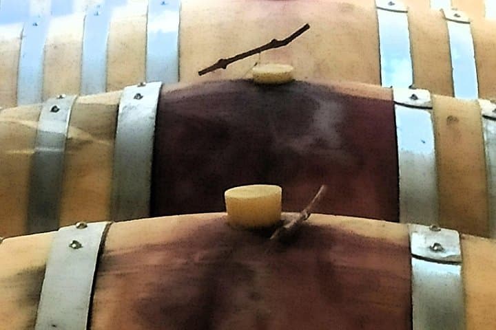 Visite de groupe des vins de Gaillac au départ de Toulouse — photo 3