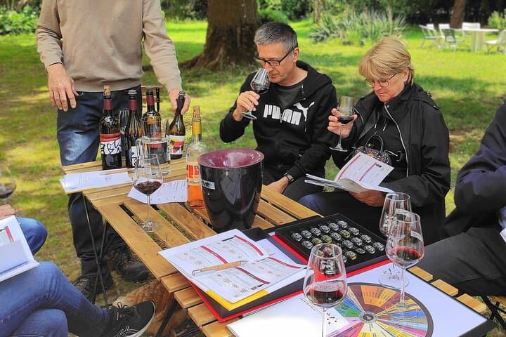 Visite de groupe des vins de Gaillac au départ de Toulouse — photo 5