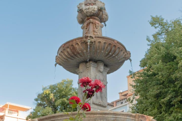 Paseo por Granada: centro histórico y Albayzín — foto 4