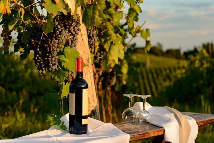 Expérience de Vin de Demi-Journée à Valpolicella depuis Vérone