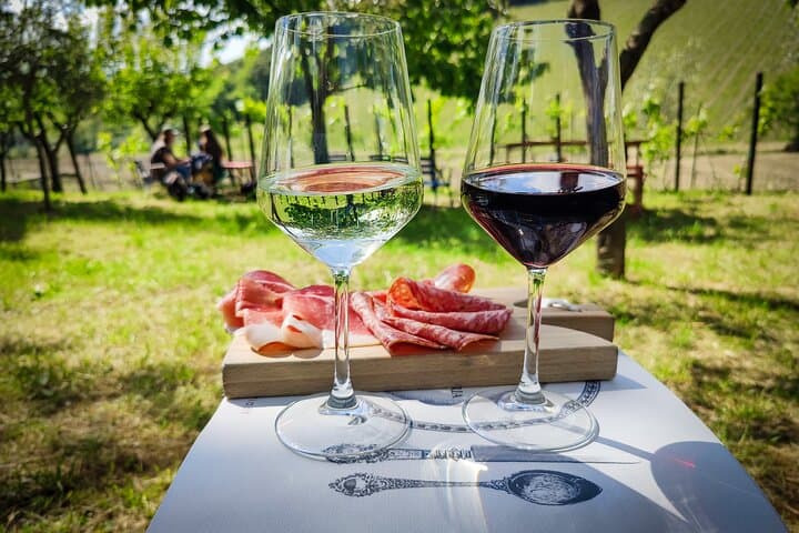 Expérience de Vin de Demi-Journée à Valpolicella depuis Vérone — photo 3