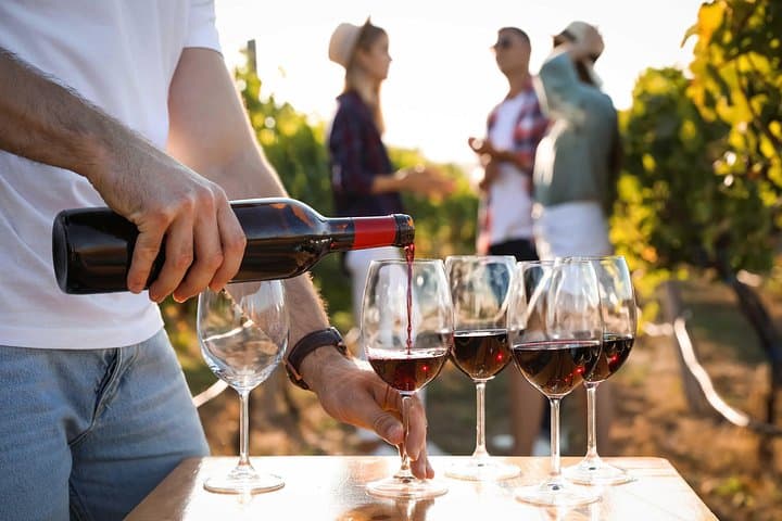 Tour del Vino di Bordeaux Les Graves Pessac Leognan — foto 3