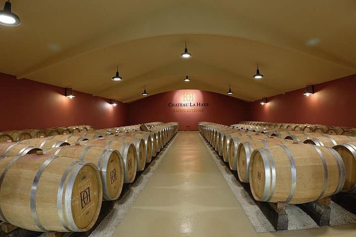 Tour del Vino Médoc lungo la strada dei castelli, visite e degustazioni — foto 5