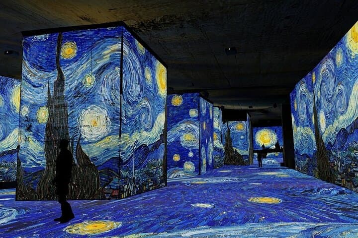 Tour Privato da Marsiglia: Les Baux, Van Gogh e Saint-Rémy — foto 3