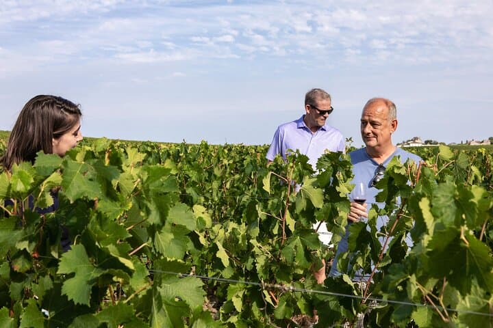 Saint-Emilion Weingut Morgen Tour von Bordeaux — Foto 4