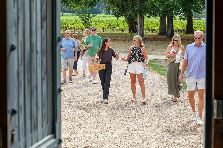 Ganztägige Tour durch Saint Emilion mit Mittagessen und Château-Besichtigungen — Foto 5