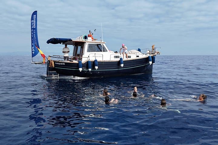 Segeln an der Valencia-Küste mit einem privaten Boot