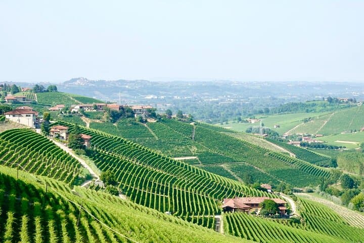 Kleingruppen-Weinprobe in Barolo in Alba und den Hügeln von Piemont