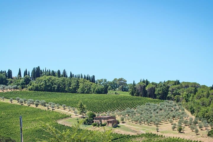 Chianti-Weintour mit Verkostungen von Speisen ab Florenz — Foto 2