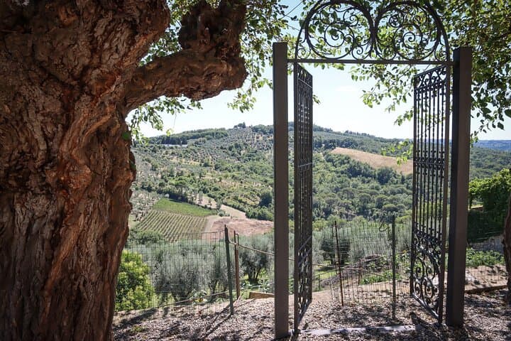 Chianti-Weintour mit Verkostungen von Speisen ab Florenz — Foto 4