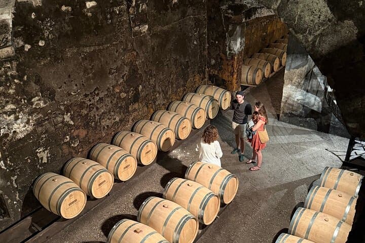 Bordeaux: Château-Besuch, Unterirdische Keller & Weinprobe — Foto 4
