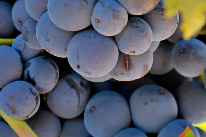 Besuchen Sie Cuenca und ein Weingut in der spanischen Toskana von Madrid — Foto 5