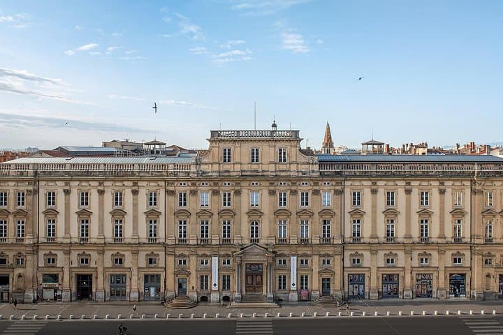 Ticket und Audioführer für das Musée des Beaux-Arts Lyon — Foto 5