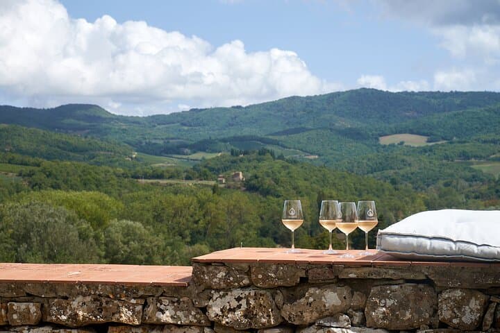 Tour del Vino Chianti da Firenze con 3 Cantine e Pranzo Toscano — foto 4