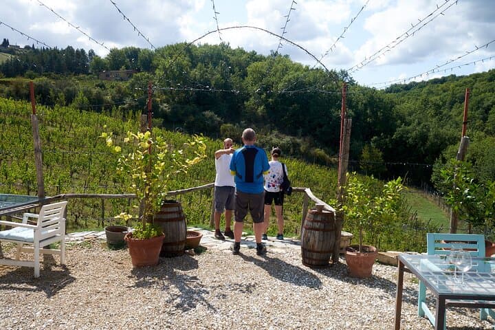 Tour del Vino Chianti da Firenze con 3 Cantine e Pranzo Toscano — foto 5