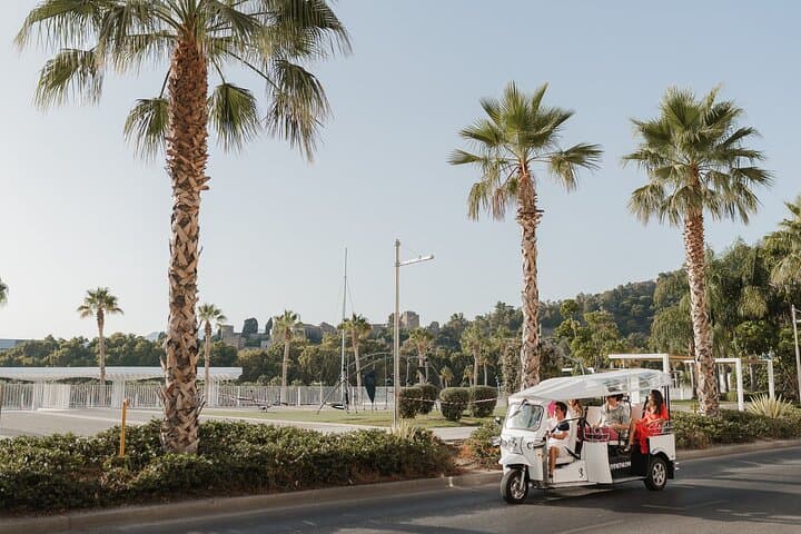 Malaga Private Eco Tuk Tuk Expert Tour — photo 4