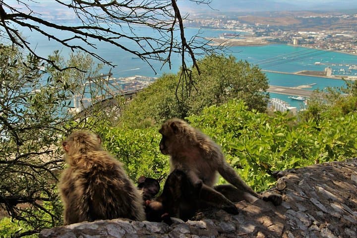 Gibraltar und Mijas Tour von Málaga